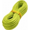 Rope Master 9,2 mm Tendon