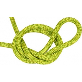 Rope Master 9,2 mm Tendon