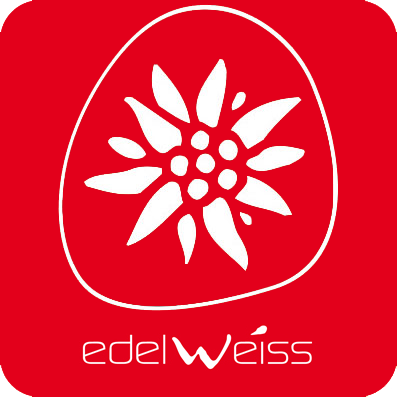 Casco Escalada Edelweiss